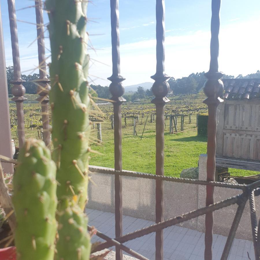 Casa Xesteira Cambados Eksteriør billede